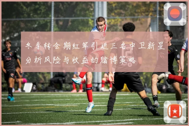 冬季转会期红军引进三名中卫新星分析风险与收益的赌博策略