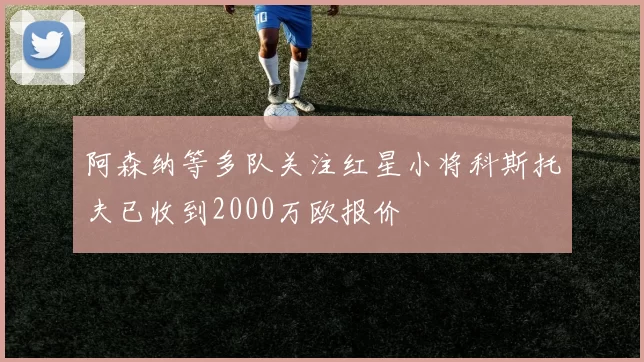 阿森纳等多队关注红星小将科斯托夫已收到2000万欧报价